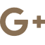 Google Plus logo on black background.